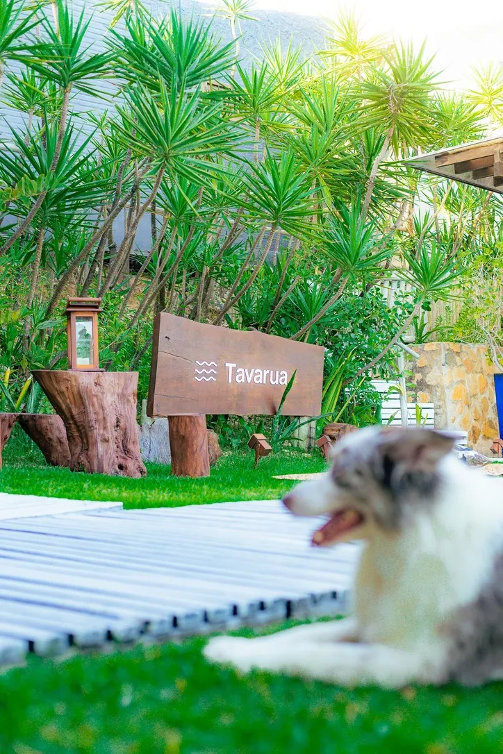 Casa Tavarua — foto 64